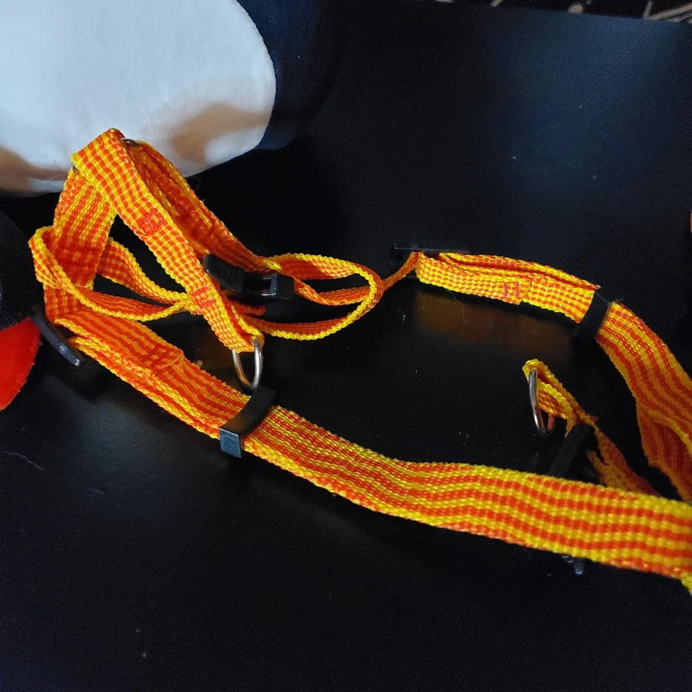 Small Pet Harness Bundle